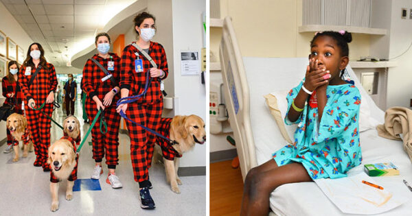 Αυτά τα σκυλιά έφεραν πολλή χαρά στα παιδιά ασθενείς που έπρεπε να περάσουν τα Χριστούγεννα σε ένα νοσοκομείο