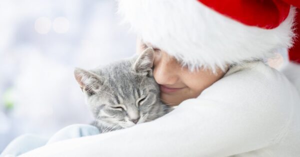 Παλεύετε να βρείτε το κατάλληλο δώρο; Δοκιμάστε μια από αυτές τις τέλειες δωρεές για γάτες