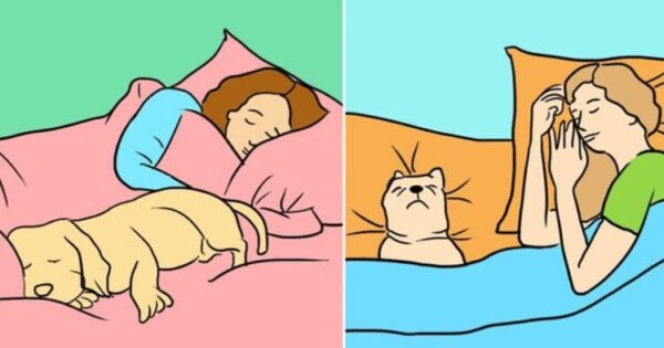 Αυτά Είναι Τα Πραγματικά Οφέλη Όταν Αφήνετε Τον Σκύλο Σας Να Κοιμάται Μαζί Σας