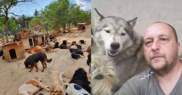 Σερβία: Άνδρας Δημιούργησε Καταφύγιο Ζώων Και Αφιέρωσε Την Ζωή Του Στη Φροντίδα Σκυλιών