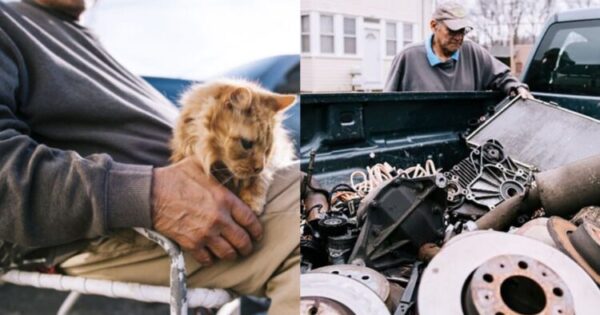 Άνδρας Πουλάει Παλιοσίδερα Εδώ Και 27 Χρόνια Για Να Ταΐζει Αδέσποτες Γάτες Κάθε Μέρα (Pics)