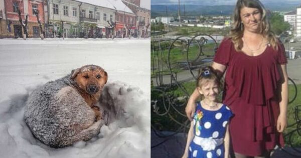 Αδέσποτο Σκυλί Σώζει Την Ζωή 10Χρονου Κοριτσιού Αγκαλιάζοντας Την Όλη Τη Νύχτα Στους -11°C