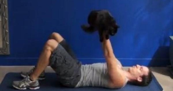 Πώς να γυμναστείτε με τη γάτα σας (video)