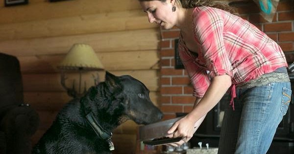 Σκύλοι ανιχνευτές γλουτένης σώζουν ανθρώπους