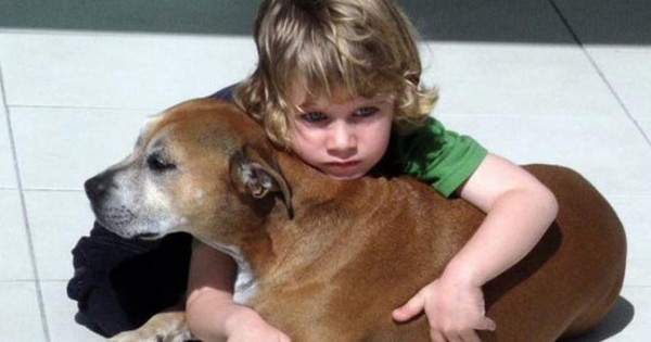 Τι απάντησε ένα 6χρονο παιδί όταν του ανακοίνωσαν ότι ο σκύλος του έχει καρκίνο