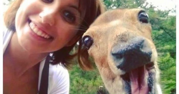 Βγάζουν και τα ζώα selfies! Δείτε 20 ξεκαρδιστικές φωτογραφίες