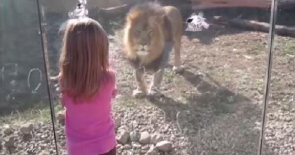 Άκρως απολαυστικό βίντεο: Παιδιά επισκέπτονται ζωολογικό κήπο – Δείτε τις αντιδράσεις τους