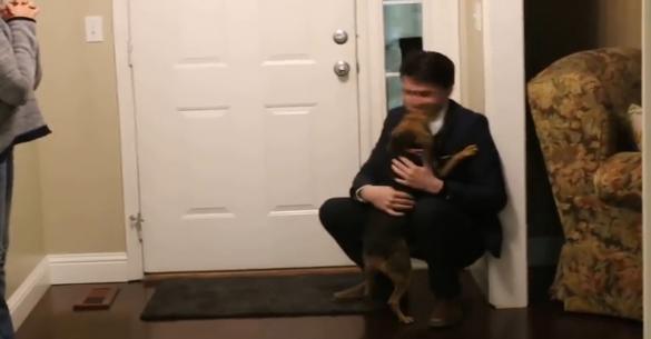 Ένα αρκετά «δυνατό» βίντεο: Επέστρεψε μετά από 2 χρόνια – Δείτε την αντίδραση του σκύλου! (βίντεο)