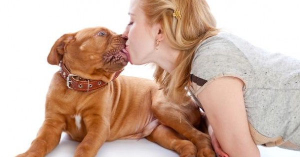 Το φιλί του σκύλου κάνει καλό στην υγεία