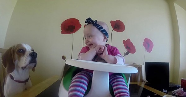 Η πιο γλυκιά babysitter στον κόσμο (Video)