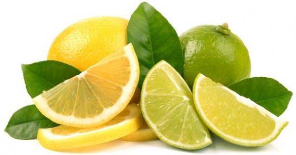 Προσοχή! Μην δίνετε λεμόνια, lime και grapefruit στο σκύλο ή τη γάτα σας!