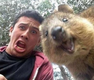 Το μικρό καγκουρό που τρελαίνεται με τις selfie! (εικόνες)