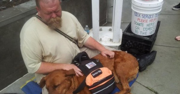 Πώς μια άγνωστη γυναίκα έσωσε τη ζωή ενός σκύλου και του άστεγου ιδιοκτήτη του