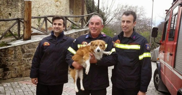 Βέροια: Πυροσβέστες έσωσαν σκύλο που εγκλωβίστηκε στον Τριπόταμο