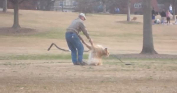Ο σκύλος αρνείται να φύγει από το πάρκο (Βίντεο)