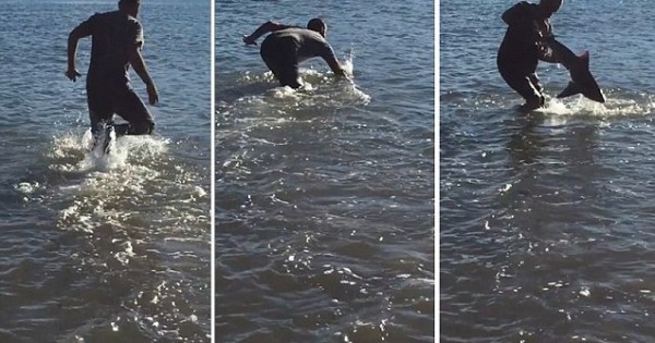 Έπιασε έναν καρχαρία με γυμνά χέρια (Βίντεο)