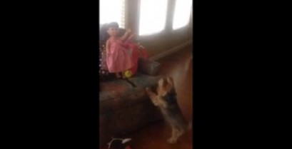 Ο σκύλος που ήθελε να παίξει με την κούκλα (Βίντεο)