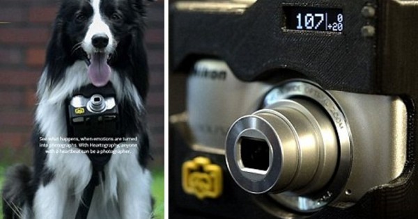 Φωτογραφική μηχανή για… σκύλους (Βίντεο)