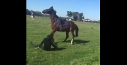 Το άλογο δεν δέχεται προσβολές (Βίντεο)
