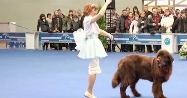 Αυτή η γυναίκα αρχίζει να χορεύει, δείτε όμως τι κάνει ο σκύλος μαζί της! Πραγματικά απίθανο! (Βίντεο)