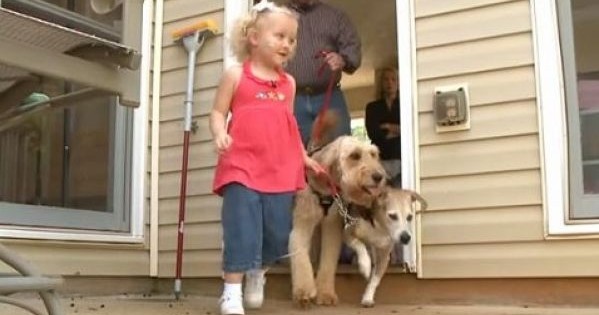 Ο σκύλος ακολουθεί αυτό το κοριτσάκι παντού. Μόλις μάθετε το λόγο θα δακρύσετε! (βίντεο)