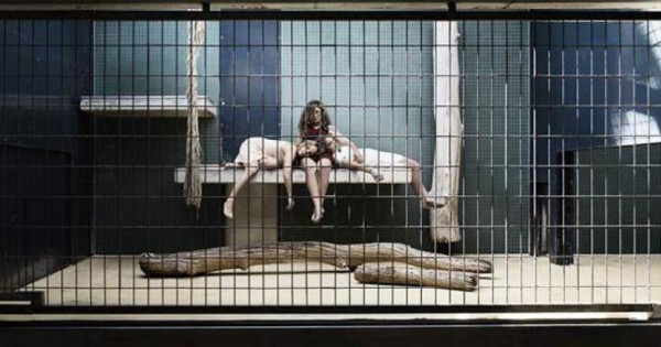Ο ζωολογικός κήπος των… ανθρώπων: Εικόνες που σε βάζουν σε σκέψεις