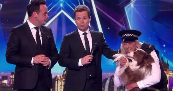Σκύλος ο νικητής του «Britain’s Got Talent» 2015 (βιντεο)