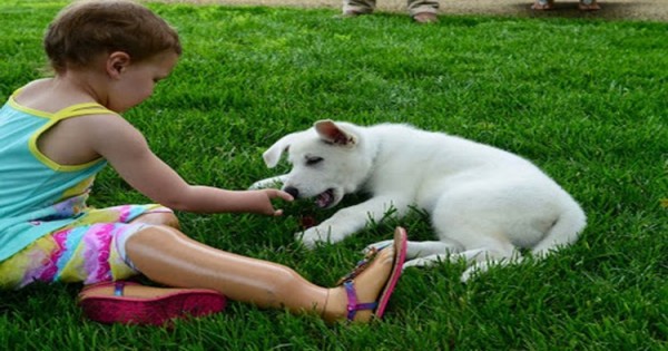 Μια περίεργη φιλία μεταξύ ενός τρίχρονου κοριτσιού και ενός σκύλου. Οι δυο τους έχουν μία ιδιαιτερότητα…