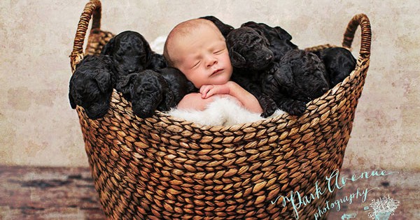 Nεογέννητο μωρό με τα… κουτάβια του! (Εικόνες)
