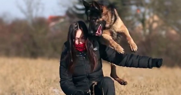 Ο σκύλος πλησιάζει την εκπαιδεύτρια… Δείτε τι κάνει! (Βίντεο)