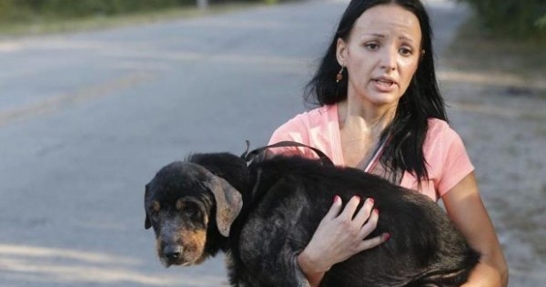 Βρήκε έναν ζωντανό φοβισμένο σκύλο ανάμεσα στα άψυχα σώματα άλλων σκυλιών. Αυτό που έγινε στη συνέχεια πρέπει να το δείτε… (Βίντεο)