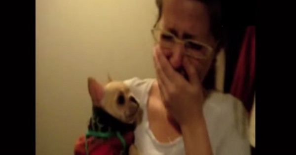 Λέει στο σκυλάκι «Σ’αγαπώ» και δεν πιστεύει στα αυτιά της την απάντηση που παίρνει (Βίντεο)