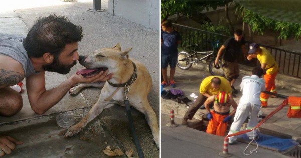 Και όμως! Αυτή είναι η ελληνική ομάδα που σώζει εγκλωβισμένα ζώα! (Βίντεο)