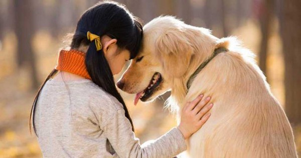 18 φωτογραφίες που αποδεικνύουν ότι ο σκύλος είναι ο καλύτερος φίλος του ανθρώπου (Εικόνες)