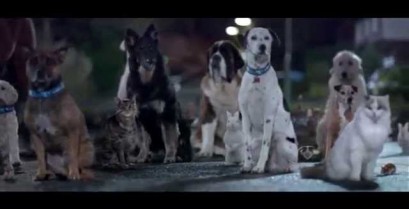 Διαφήμιση για τη μεταχείριση των ζώων από τον οργανισμό Blue Cross (Βίντεο)