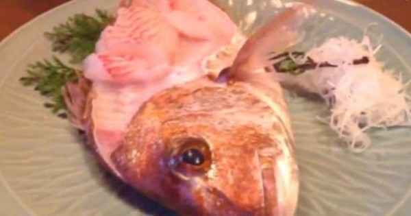 Μισοφαγωμένο ψάρι ζωντανεύει και φεύγει από το πιάτο! [βίντεο]