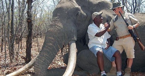 Ελέφαντας το νέο θύμα πληρωμένου κυνηγιού στην Αφρική (Εικόνες)