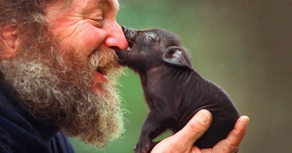 14 γλυκές φωτογραφίες με ζώα που θα σας κάνουν να χαμογελάσετε