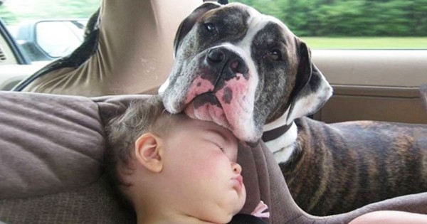 25 φωτογραφίες που δείχνουν ξεκάθαρα ότι κάθε παιδί πρέπει να έχει ένα σκύλο δίπλα του (Εικόνες)