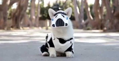 Σκύλος με στολή Stormtrooper (Βίντεο)
