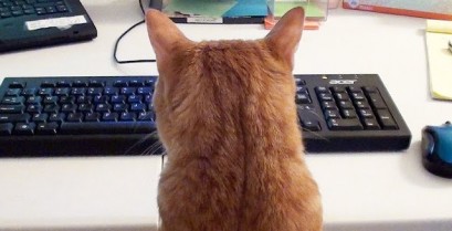 Δουλεύοντας στον υπολογιστή παρέα με μια γάτα (Βίντεο)