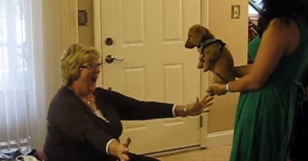 Μια μητέρα, τα παιδιά της, μια έκπληξη και πολλή χαρά! (Βίντεο)