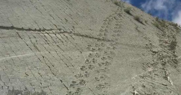 Το τείχος με τα χιλιάδες αποτυπώματα από δεινόσαυρους (Εικόνες)