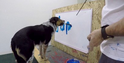 Ο Jumpy ο σκύλος γράφει το όνομά του (Βίντεο)