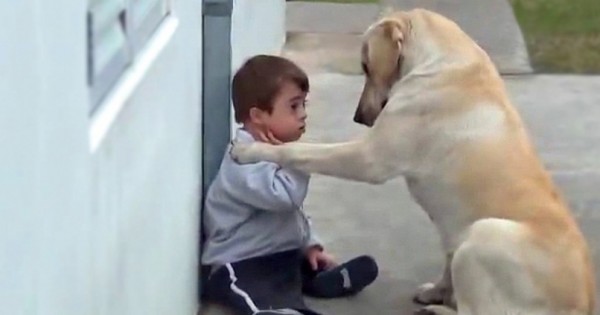 Όταν ο γιος της χρειάστηκε ένα φίλο, αυτός ο σκύλος στάθηκε στο πλευρό το, με τον πιο απίστευτο τρόπο. (Βίντεο)