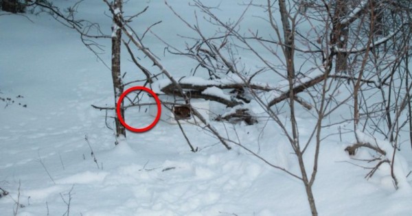 Ένα αγοpάκι έπαιζε στο χιόνι, όταν ξαφνικά σκόνταψε σε ΚΑΤΙ. Όταν το πήρε στα Χέρια του, δεν πίστευε στα Μάτια του! (Βίντεο)