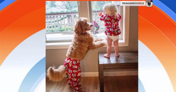 Το απίθανο πιτσιρίκι και ο σκύλος του που φοράνε τα ίδια ρούχα! (Βίντεο)