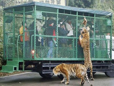 Ζωολογικός κήπος έκλεισε τους ανθρώπους σε κλουβί (ΦΩΤΟ)