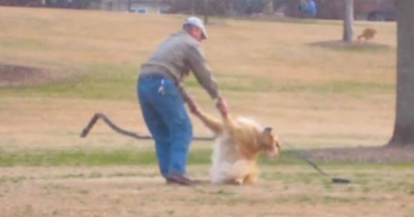 Ο πιο τεμπέλης σκύλος του κόσμου αρνείται να αφήσει το πάρκο και η αντίδρασή του προκαλεί γέλιο (Βίντεο)