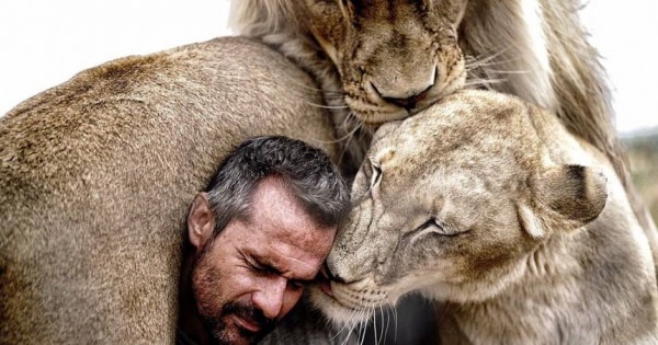 Τα λιοντάρια που λατρεύουν τον άντρα που αφιέρωσε τη ζωή του για να τα σώσει (Βίντεο)